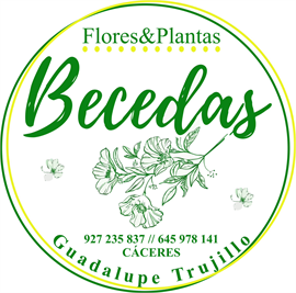 FLORISTERIA BECEDAS